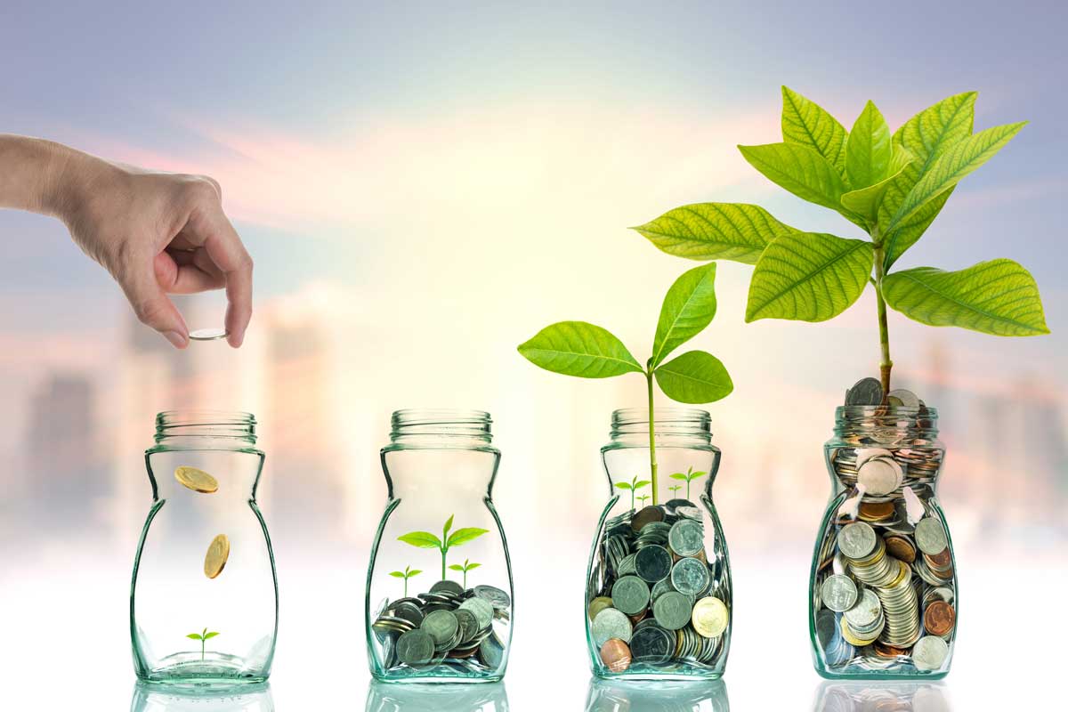 financial focus showing jars with coins and plants growing in the jars