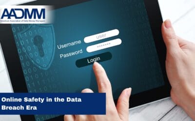 Online Safety in the Data Breach Era